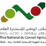 Logo-ONCA-Drâa-Tafilalet-508x300-removebg-preview